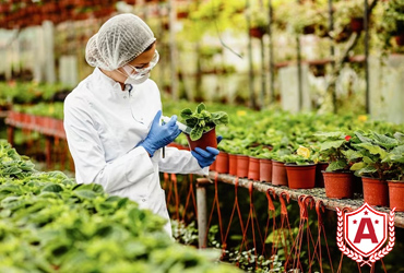 Study MS in Horticultural Sciences in Germany