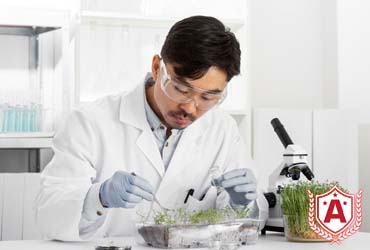 Study Biotechnology in Italy