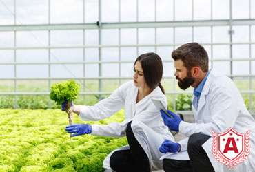 Study MS in Plant Biotechnology in Bulgaria