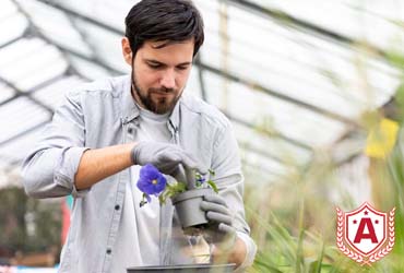 Study Plant and Crop Sciences in Italy